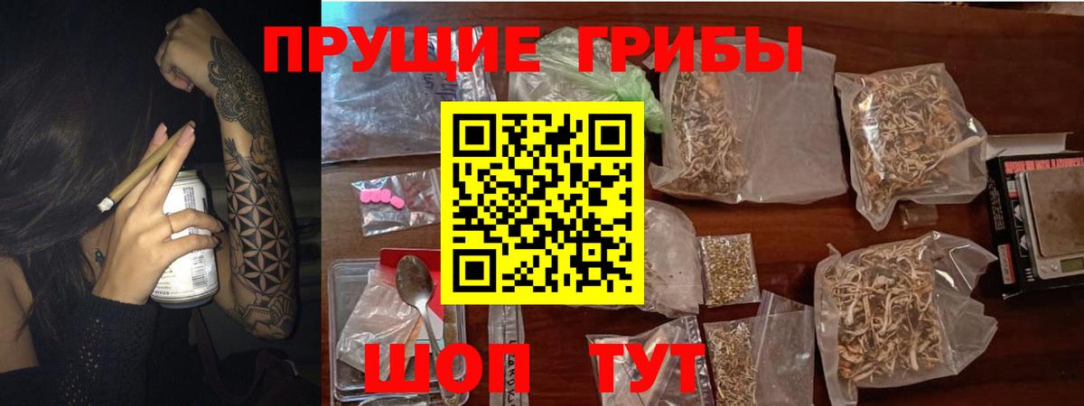 Псилоцибиновые грибы прущие грибы Краснодар
